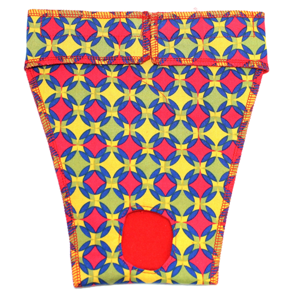 EP6039 at 1000 Kaleidoscope Bitches Britches for Whippets