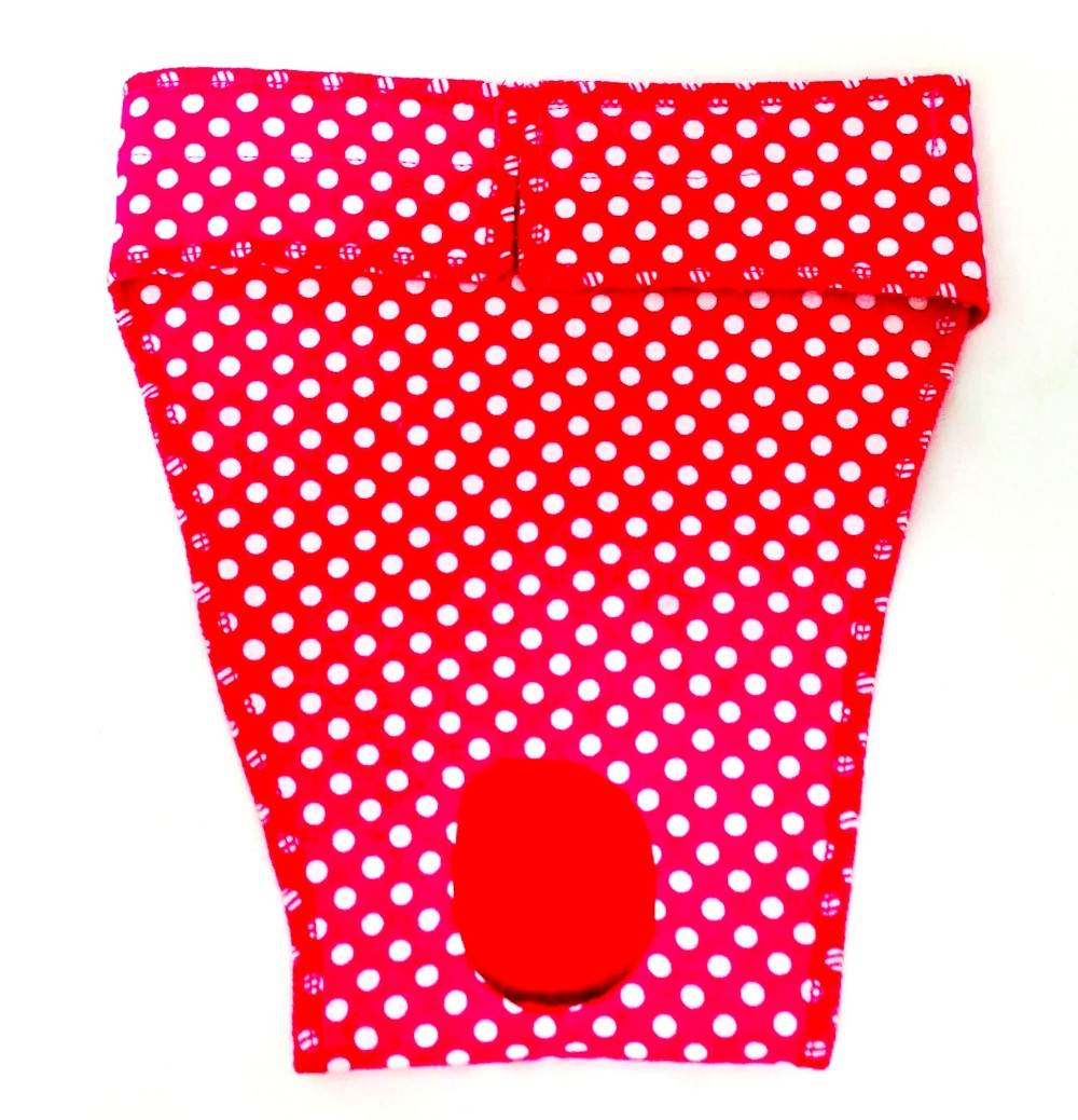 EP6073 at 1000 Bitches Britches for Whippets