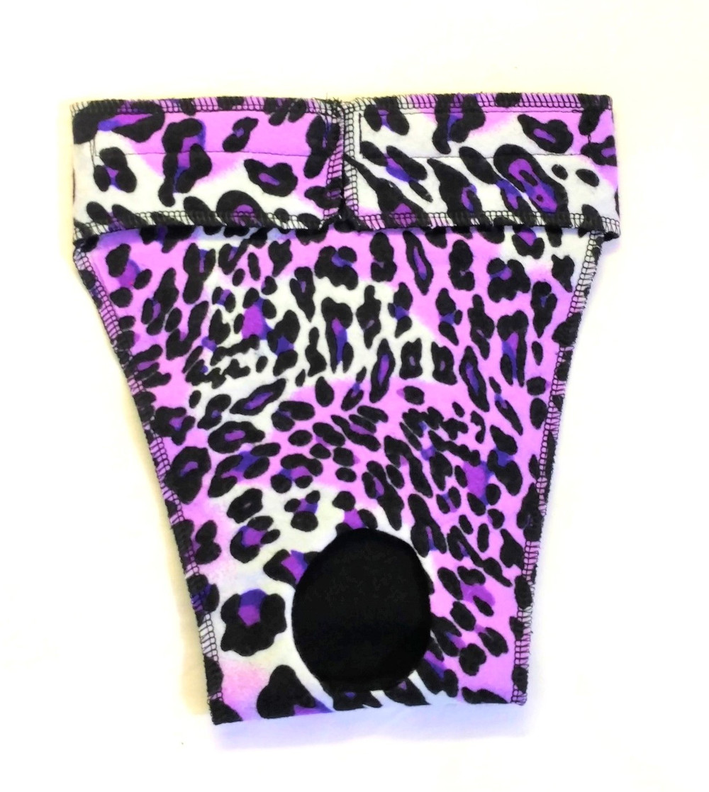 EP6088at 1000 Bitches Britches for Whippets