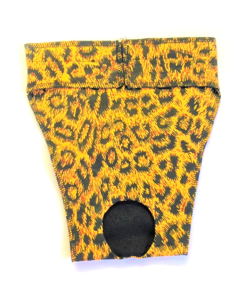 EP6107at 1000 Bitches Britches for Whippets