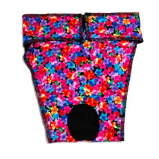 Bitches Britches for Whippets