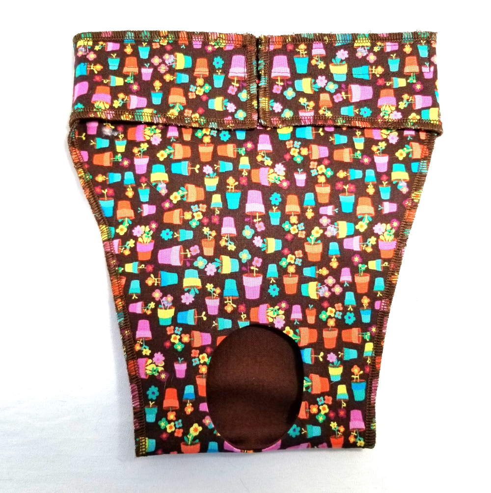 EP6141at 1000 Bitches Britches for Whippets