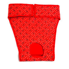 Bitches Britches for Whippets