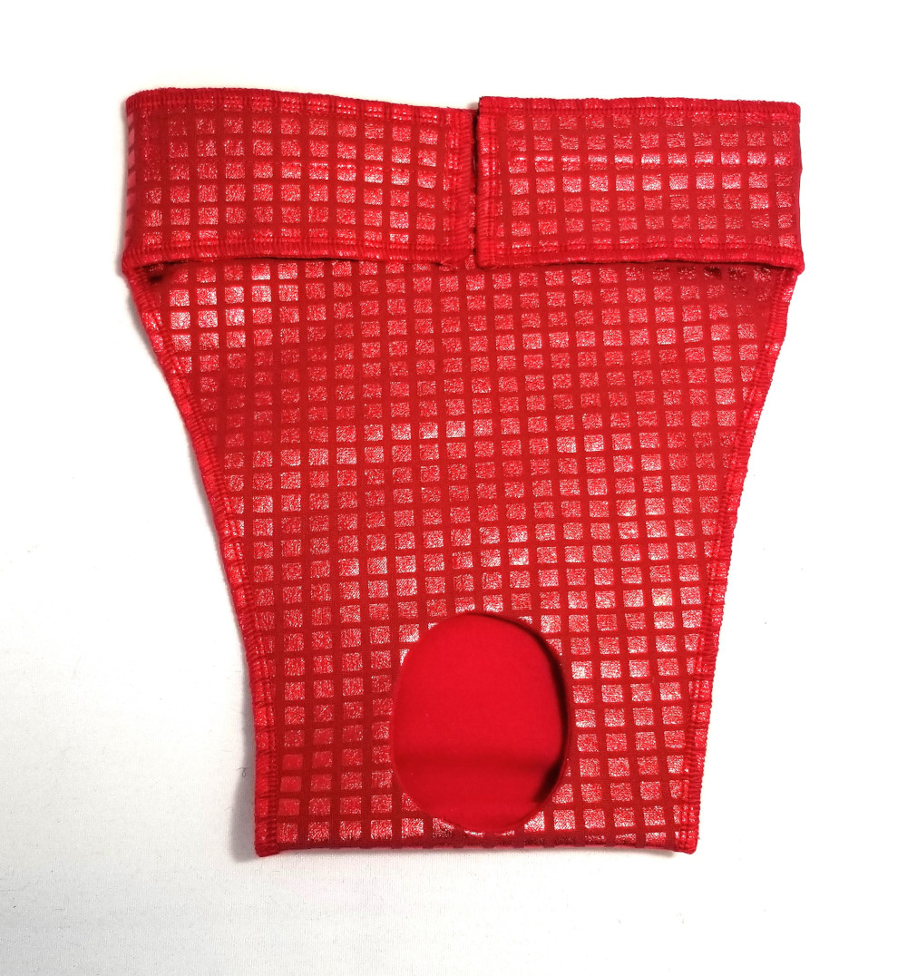 EP6164at 1000 Bitches Britches for Whippets