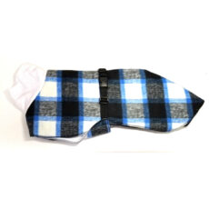 Whippet coat
