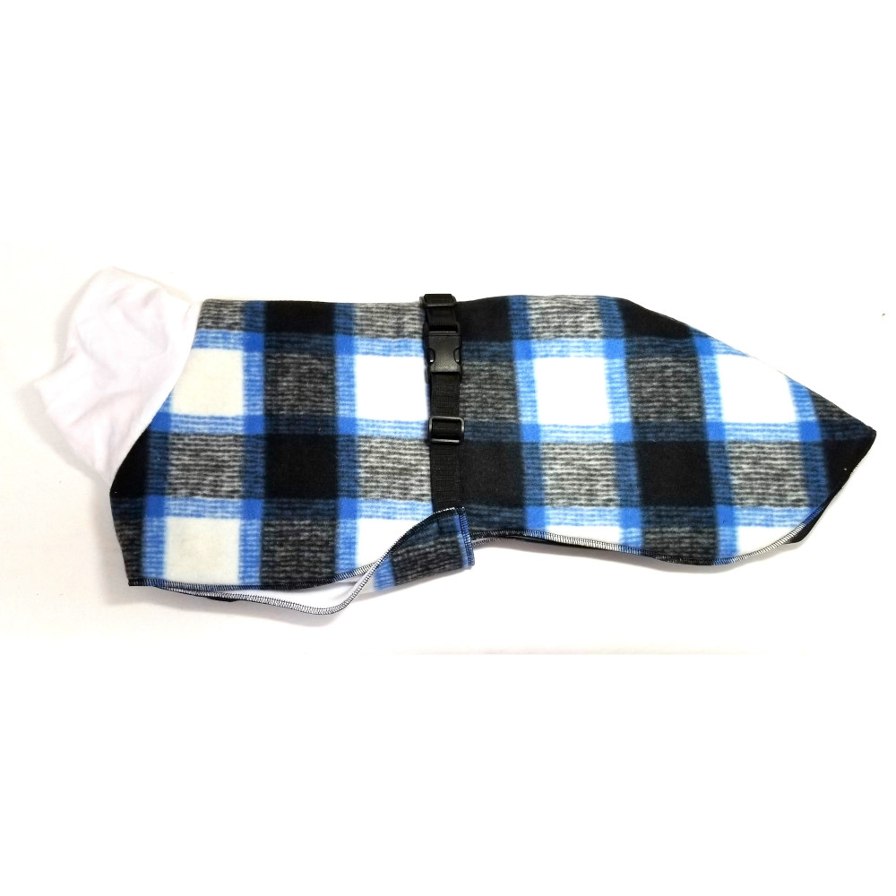 Whippet coat