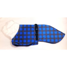 Whippet coat